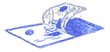 Op d' Bild klicken (1,41M) 
