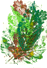 Op d' Bild klicken fir ze vergréisseren (1,41M) 